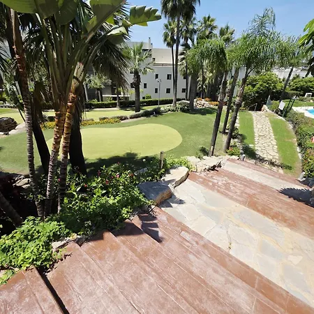 Flamingos Padierna *